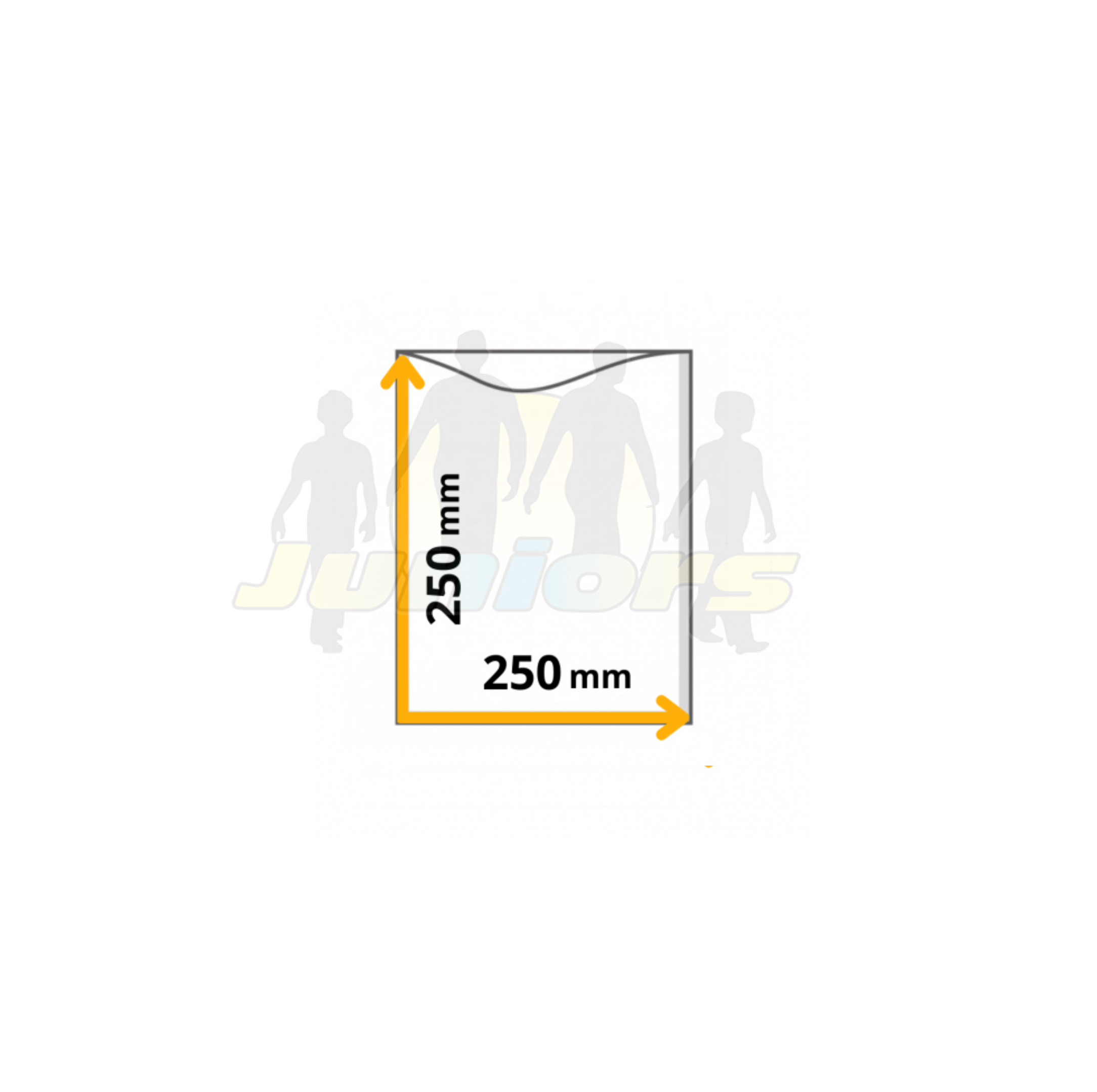 BUSTE VACUM A/95 250X250 CF100PZ CT2 - immagine 4
