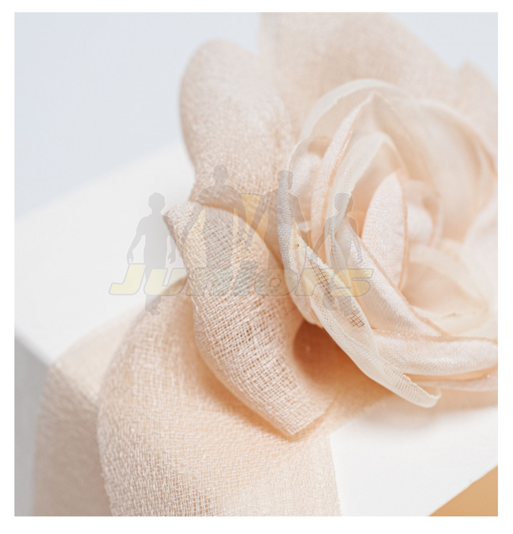 NASTRO DELICATE MM25X25MT SKIN 3827XP 57 - immagine 2