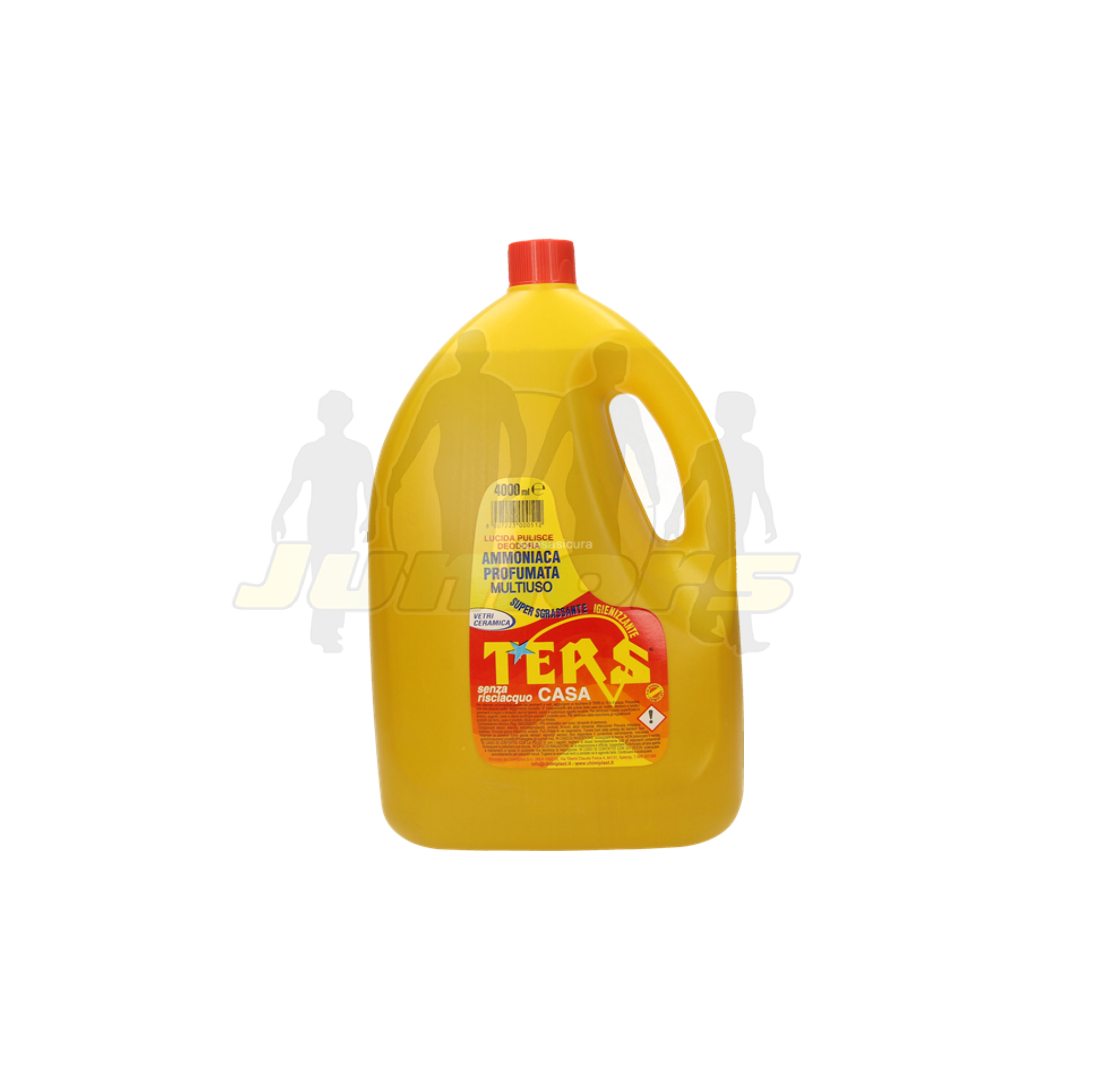TERS AMMONIACA PROF IGIENIZ4000ML