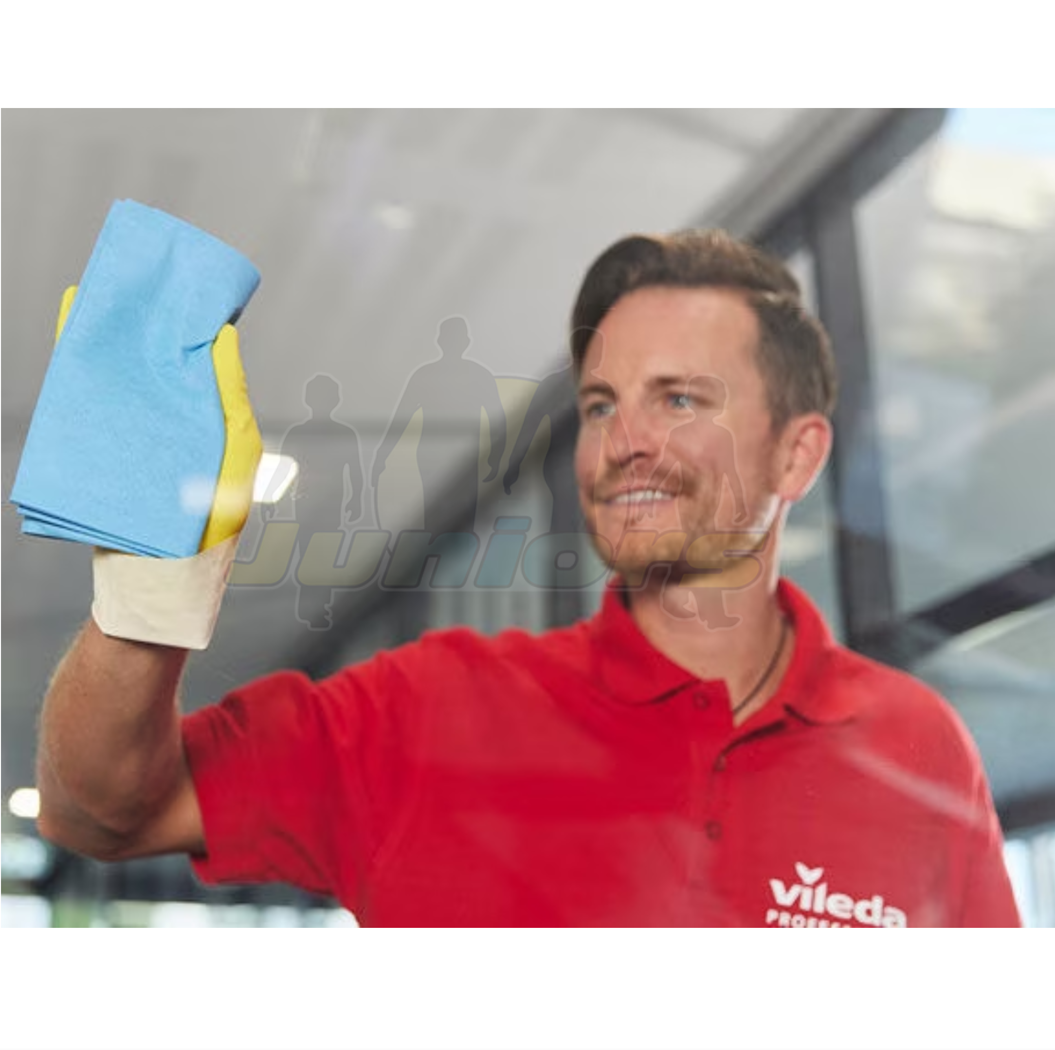 PANNO VILEDA BLU MICROGLASS50X40 CF PZ 5 15276 - immagine 2